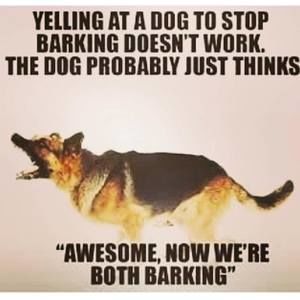 Meet your Posher, Raby